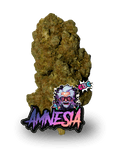 AMNESIA CBC - Le QG CBD