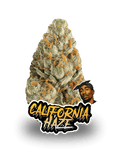 CALIFORNIA HAZE - Le QG CBD