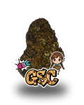GSC CBC - Le QG CBD