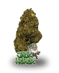 JACK HERER - Le QG CBD