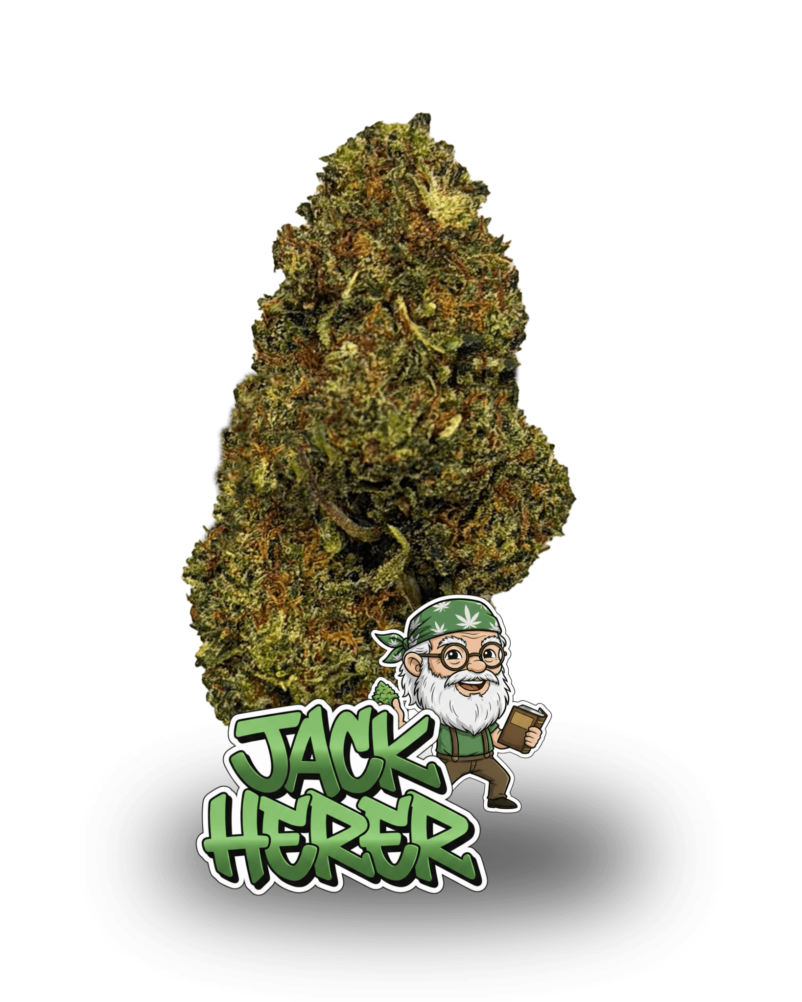JACK HERER - Le QG CBD