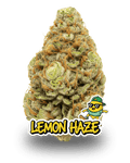 LEMON HAZE - Le QG CBD