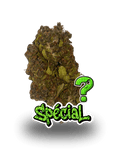 SPECIAL - Le QG CBD