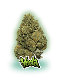 YODA - Le QG CBD